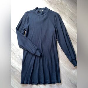 Aritzia Wilfred ribbed mock neck dress